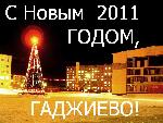 Примите сердечные поздравления с Новым 2011 годом!