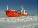 Общероссийское Движение Поддержки Флота продолжает работу с участием членов СВПГ по теме Антарктида